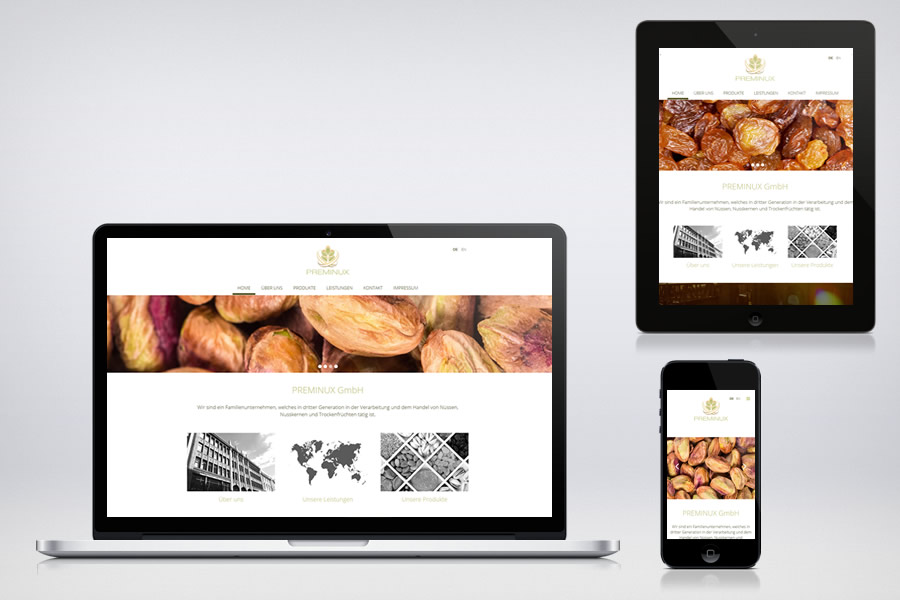 PREMINUX GmbH - Contao Website